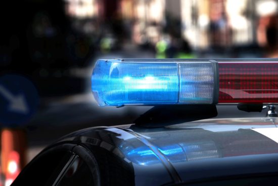 Mujer muere tras ataque de perros en Miami