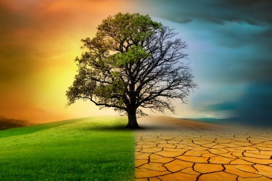 Sequía empeora en EEUU y genera riesgo de incendios