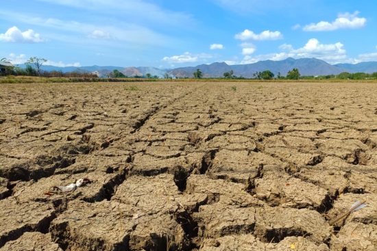 Sequía regresa al este de EEUU tras una pausa de lluvias