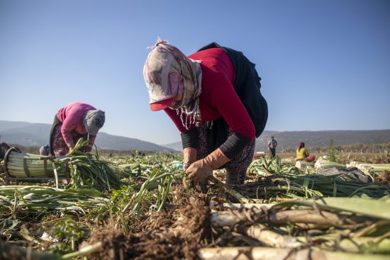 trabajadores, nueva, york, miedo, redada, ice