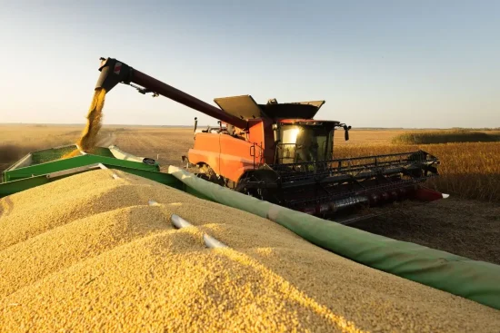 China frena compras de soja