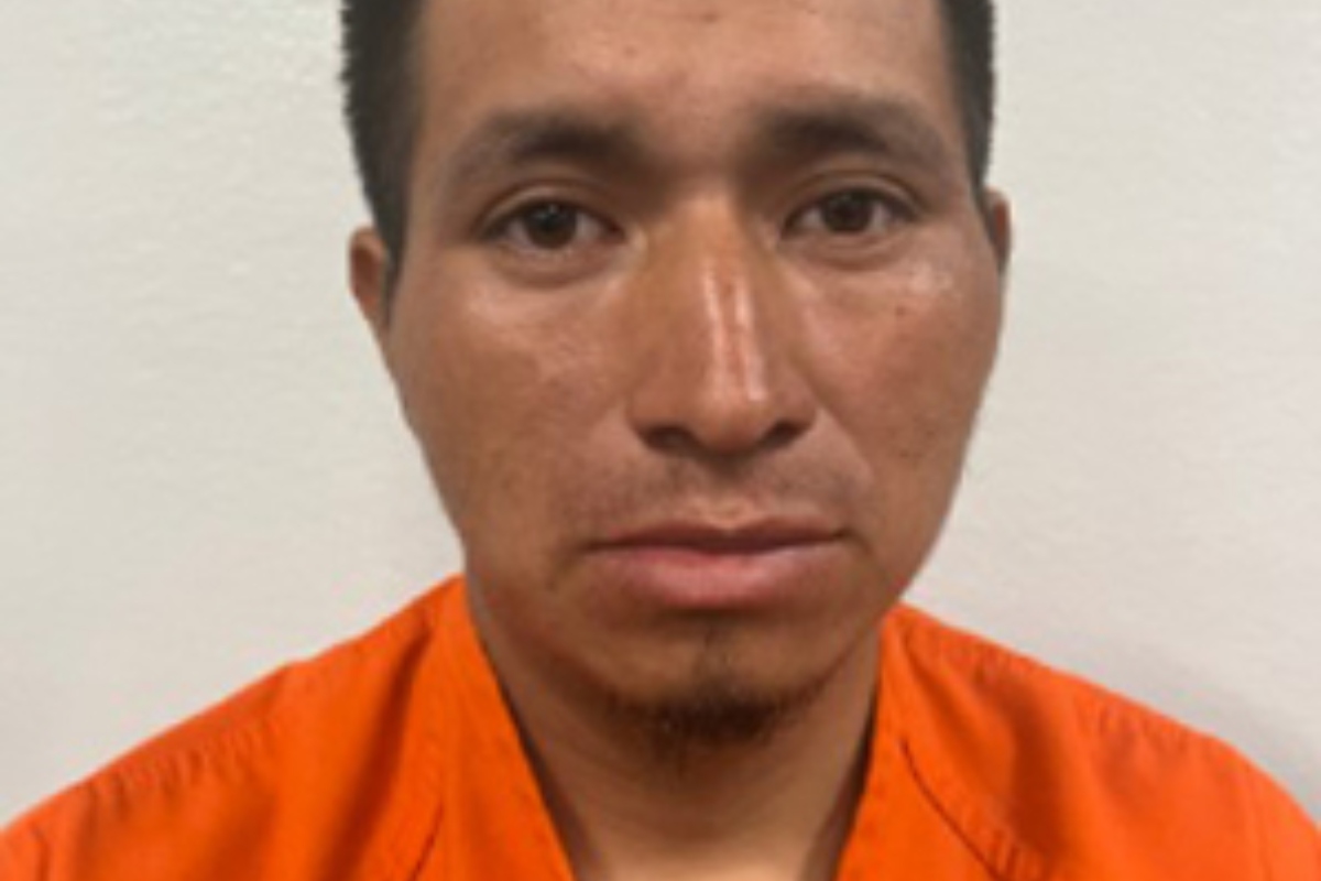 ICE arresta 400 inmigrantes indocumentados, ICE Arrests More Than 400 Undocumented Immigrants in Major Operation in Central Florida