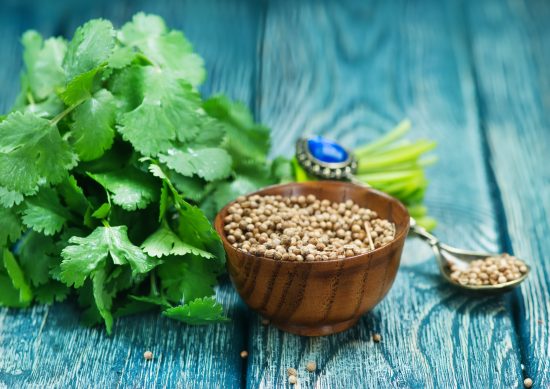 Detoz natural cilantro