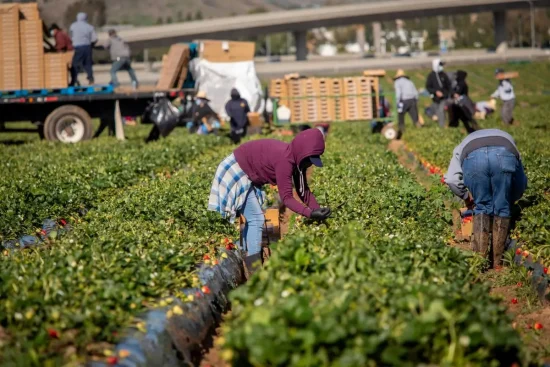 riesgo de crisis agrícola