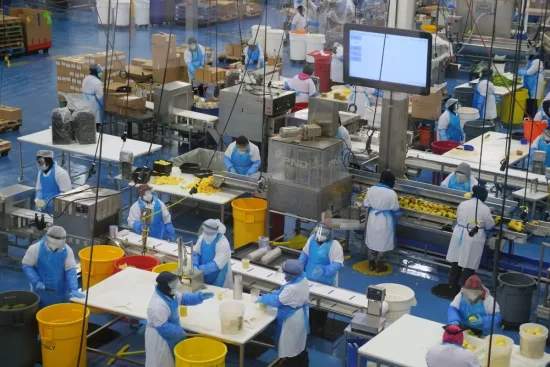 Índice de Precios al Productor