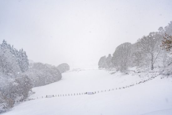 La Niña dominará el invierno