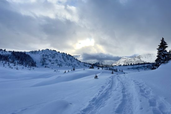 Tormenta invernal activa alerta