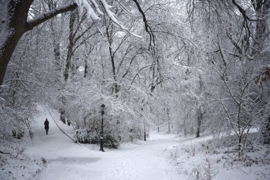 Frío extremo en Nueva York