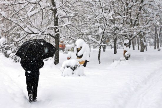 Tormenta invernal paraliza EEUU