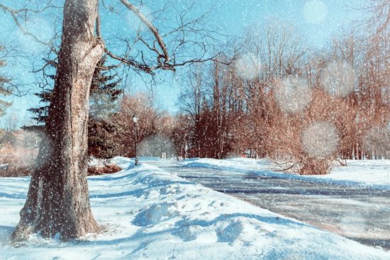 Clima invernal en EEUU