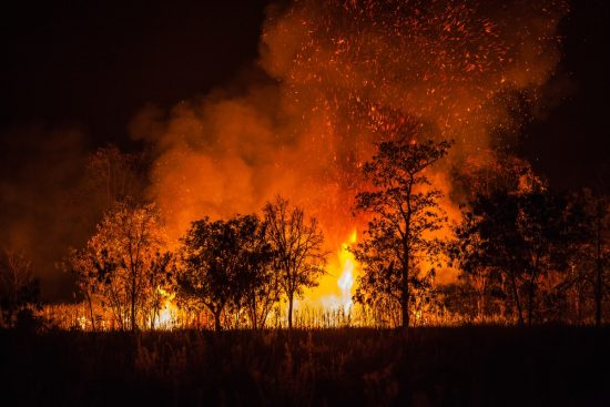 Evacúan, Incendios turistas FOTO: SHUTTERSTOCK