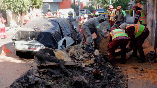 sismo en mexico , tragedia, breaking
