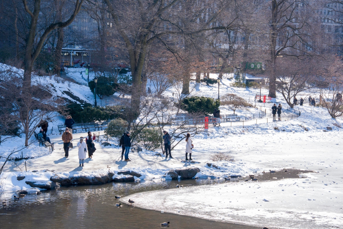 Muertes por frío, investigación, ola invernal MundoNOW, New York City Council Opens Investigation Into Cold-Related Deaths