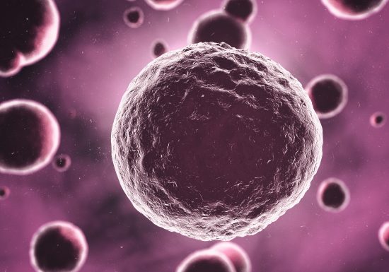 envejecimiento, celular, en humanos, , cientifico