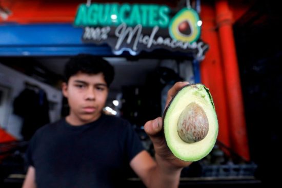 negocio del aguacate mexicano