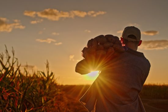 Migrant Labor Trafficking Case Against Family