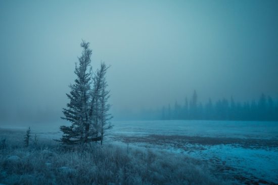 Nueva tormenta invernal EEUU