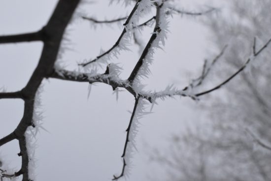 Golpe del invierno en el noreste