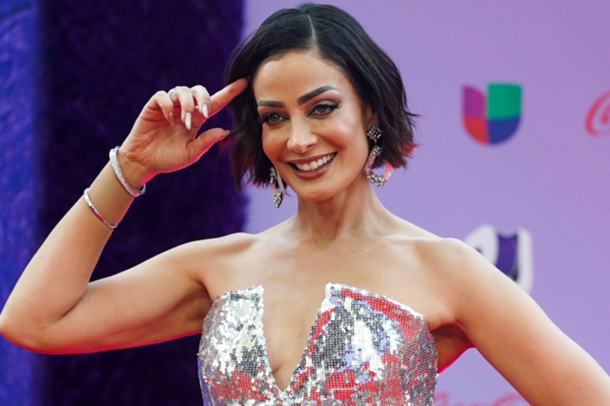Dayanara Torres en bikini, Dayanara Torres in Bikini Makes a Confession