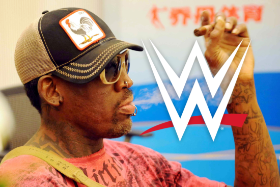 Rodman, WWE