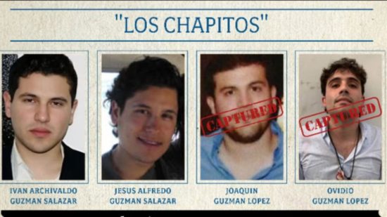 ICE reactiva la búsqueda de Los Chapitos