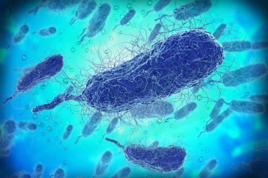 Cinco personas mueren por bacteria