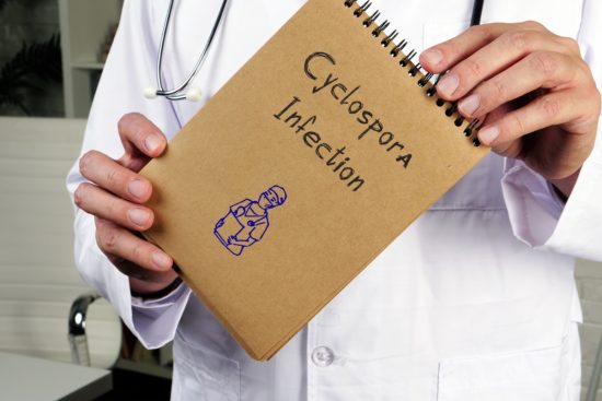 Confirman primeras muertes por ciclosporiasis