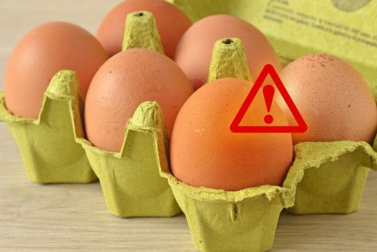 Brote de salmonela afecta a 17 estados, salmonella egg recall